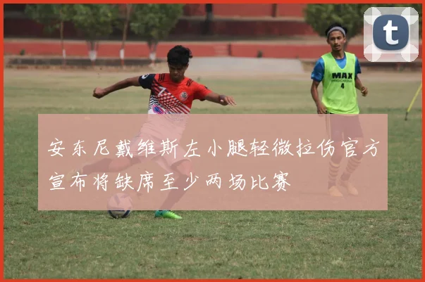 安东尼戴维斯左小腿轻微拉伤官方宣布将缺席至少两场比赛