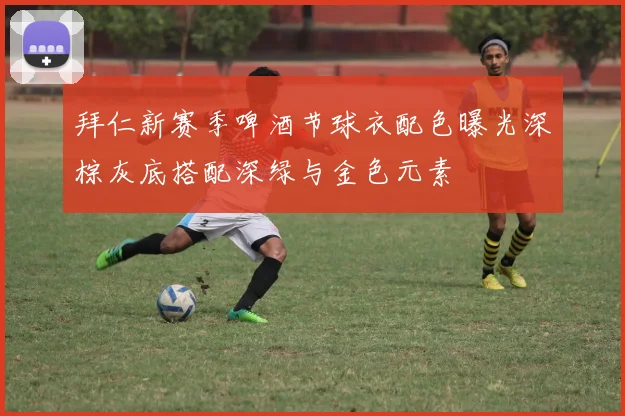 拜仁新赛季啤酒节球衣配色曝光深棕灰底搭配深绿与金色元素