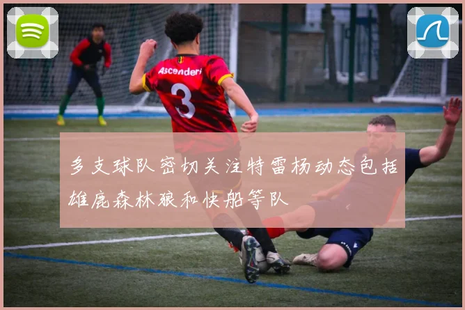多支球队密切关注特雷杨动态包括雄鹿森林狼和快船等队
