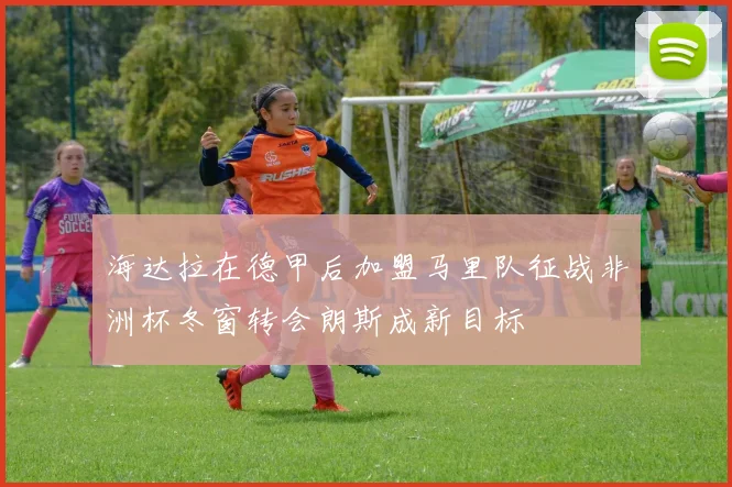 海达拉在德甲后加盟马里队征战非洲杯冬窗转会朗斯成新目标