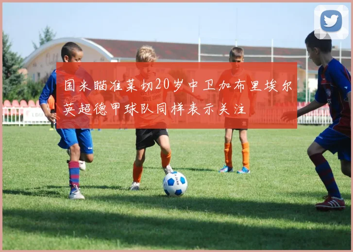 国米瞄准莱切20岁中卫加布里埃尔英超德甲球队同样表示关注