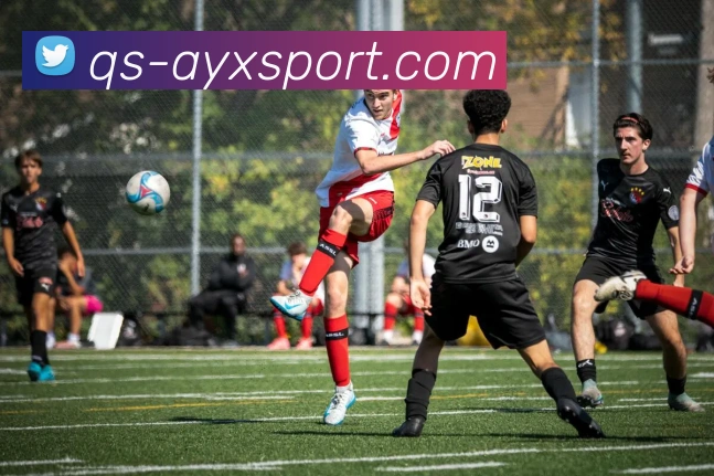 爱游戏体育平台生态图